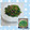 yukakobi☆'s cooksnap of when they made ☆ほうれん草と小エビごま油炒め☆.