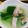 ひぃくんさっち's cooksnap of when they made チンゲン菜とベーコンの中華スープ.