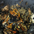 クックTW1J61☆'s cooksnap of when they made 炊飯器deひじきの煮物♫.