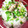 シナモシナモ's cooksnap of when they made お酒の後に♪へしこ茶漬け.