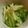 milk*cocoa's cooksnap of when they made セロリ☆さっぱり漬け.
