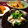 mokutarou's cooksnap of when they made ささみとせりの梅肉和え.