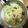 kobisuke's cooksnap of when they made 義母の具だくさん☆かす汁.