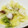 みぽぴぽ's cooksnap of when they made ﾒﾄﾚで★ﾀｺとｷｬﾍﾞﾂのｵｲﾙ煮.