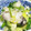 みっくママ's cooksnap of when they made アボガドと牡蠣の和え物.