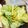 moon_cafe's cooksnap of when they made 旬の野菜でおつまみキャベツ.