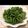 dvyvb's cooksnap of when they made 菜の花のからし和え.