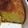 ちぇんばあ's cooksnap of when they made HＭでみかん皮ごとマーマレードケーキ.