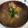♡きんみな♡'s cooksnap of when they made 豚汁.