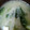 かぴーな's cooksnap of when they made 朝食　小松菜と　大根の味噌汁.