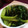黒めんぼう's cooksnap of when they made おつまみに♪セロリのからし酢和え.