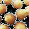 クックWEP5FI☆'s cooksnap of when they made サラダ油で！牛乳で！簡単チョコマフィン.