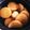 黒めんぼう's cooksnap of when they made 味がしみてる〜 大根煮.