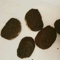 趣味勢。JK1's cooksnap of when they made ディアマン　ノワール　♪チョコクッキー.
