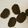 趣味勢。JK1's cooksnap of when they made ディアマン　ノワール　♪チョコクッキー.