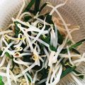 もんすけまま's cooksnap of when they made シャキシャキもやしの煮方.