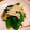CHIHO☆★☆'s cooksnap of when they made 法蓮草とエノキのお浸し.