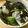 Lila's cooksnap of when they made 手抜きすぎだけどおいしい～アボガド丼.