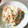 スージー＆ジル's cooksnap of when they made 白菜と長ネギの白和え.