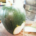 Jyohana's cooksnap of when they made 冬瓜の皮のキンピラ.