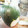 Jyohana's cooksnap of when they made 冬瓜の皮のキンピラ.