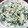 咲わんこ's cooksnap of when they made 簡単わかめごはん！.