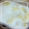 フラガール２７'s cooksnap of when they made れもんの砂糖漬け＆レモンシロップ.
