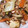 ono2628ono's cooksnap of when they made 厚揚げと白菜の中華炒め.
