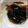 RIKOTORA's cooksnap of when they made 黒豆の煮汁をヨーグルトのソースに.