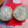クック41OUTP☆'s cooksnap of when they made 大根の冷凍保存.