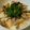 クック54UTH0☆'s cooksnap of when they made やさしい味の親子丼.
