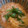 kaimaru21's cooksnap of when they made 簡単☆キムチ雑炊.