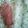 Jyohana's cooksnap of when they made 便利！ベーコン冷凍保存.