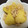 SS_SHENA's cooksnap of when they made 生姜風味♪簡単じゃが芋のそぼろ煮.