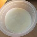 ちきりこ's cooksnap of when they made マグカップで簡単！ヨーグルトムース♪.