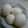 パルぽっちゃん's cooksnap of when they made eco ゆで卵☆圧力鍋で半熟～固ゆで.