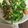 ＊アキラ先輩＊'s cooksnap of when they made 小松菜とウインナーの炒り卵☆ポン酢炒め.