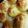 ioMam˙³˙'s cooksnap of when they made くるみコッペ.