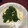 ぺぇこ♡'s cooksnap of when they made 今が旬？生めかぶの食べ方①.