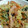 gemini67's cooksnap of when they made 簡単！大根のコンソメ卵とじ.