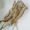 ねこカフェさん's cooksnap of when they made ﾚﾝｼﾞで簡単☆魚の骨ｽﾅｯｸ.