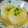 かおり85's cooksnap of when they made 炊飯器で簡単 ふろふき大根.