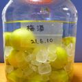 かあさんペンギン's cooksnap of when they made 母の味☆自家製梅酒.