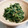 ☆☆☆なつ☆☆☆'s cooksnap of when they made ビタミンたっぷりほうれん草のゴマ和え.