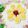 Kαi＊MαMα's cooksnap of when they made 〜サンドイッチ〜flower風.