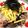 DOOLY's cooksnap of when they made フライパンでお蕎麦つけ麺.