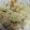 海芽絵留's cooksnap of when they made 簡単☆数の子と舞茸の炊き込みごはん.