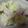 海芽絵留's cooksnap of when they made 豆数の子入りポテトサラダ.