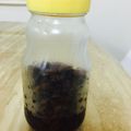 キラリンmama's cooksnap of when they made ★超簡単★5日でラムレーズン★.