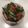 Sally_vis's cooksnap of when they made 小松菜の煮浸し＊お弁当にも.